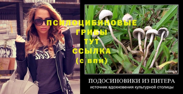 круглые Алексеевка