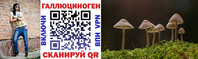 Галлюциногенные грибы Psilocybine cubensis  МЕГА зеркало  Моздок 