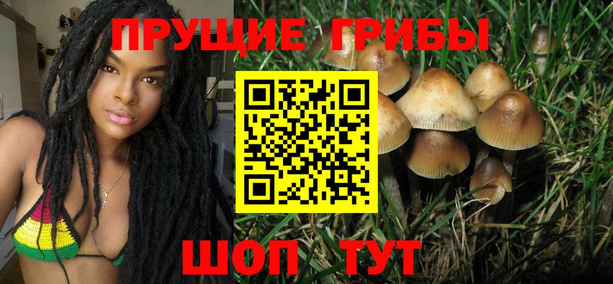 Моздок  Галлюциногенные грибы ЛСД  Вход с VPN  Галлюциногенные грибы прущие грибы 